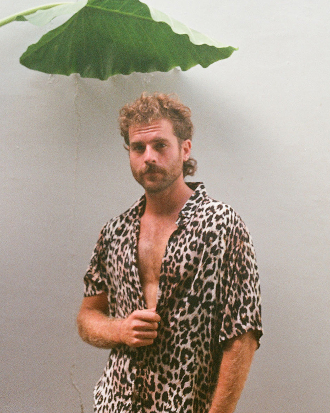 chemise sauvage imprimé lion léopard cougar kacang