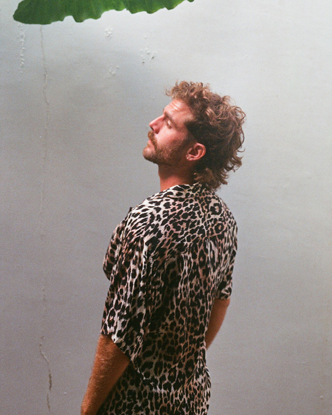 chemise sauvage imprimé lion léopard cougar kacang