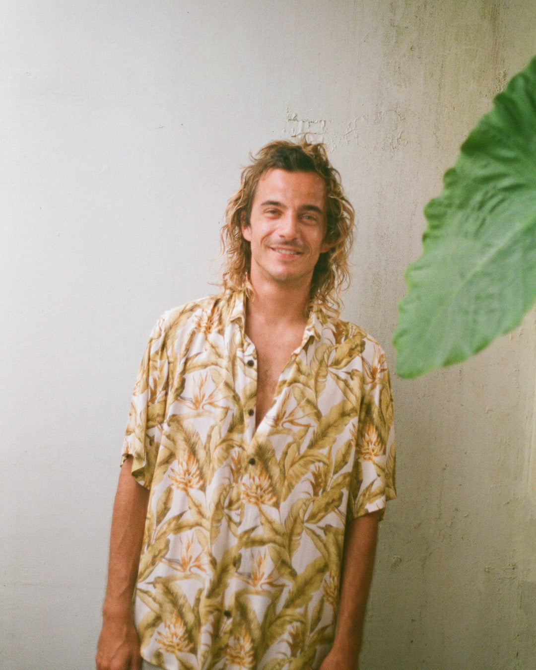 chemise jungle jaune kacang