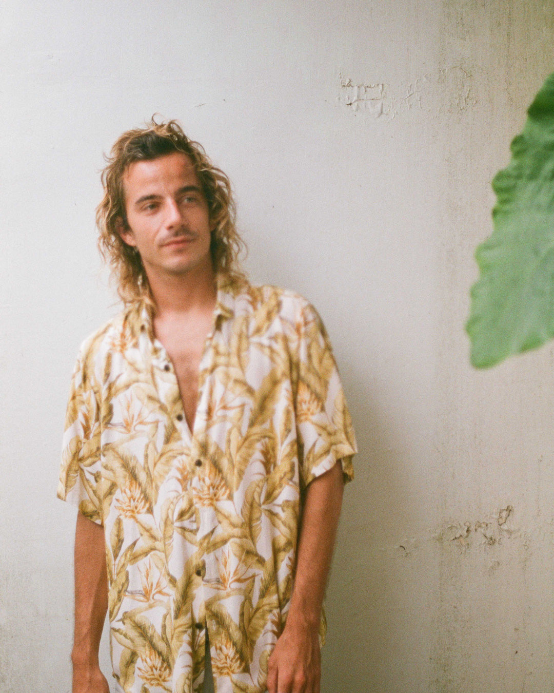 chemise jungle jaune kacang