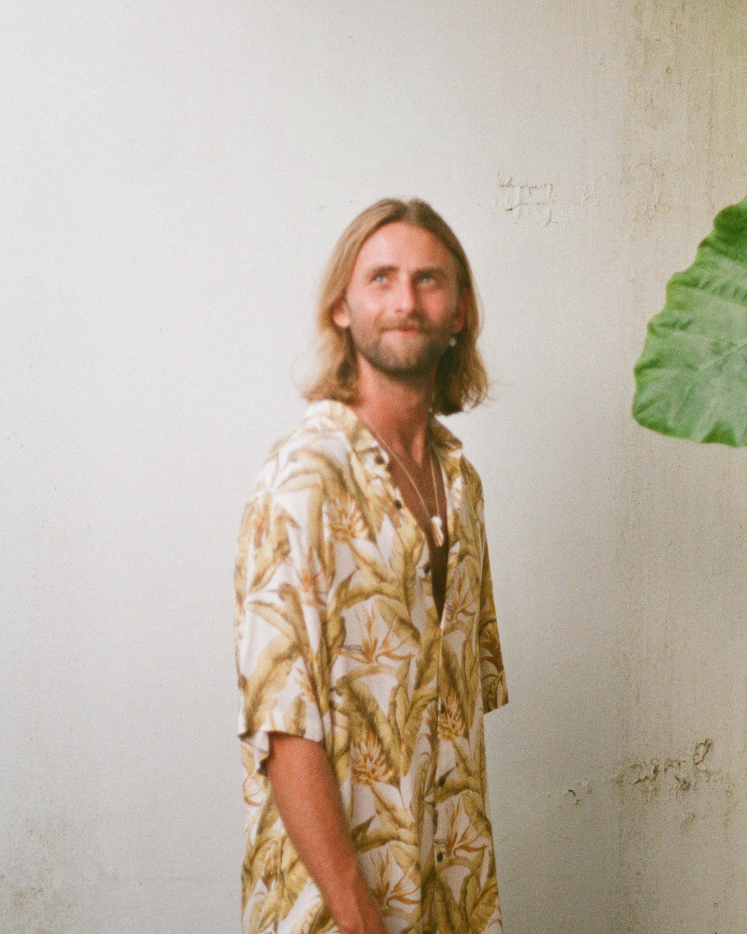 chemise jungle jaune kacang