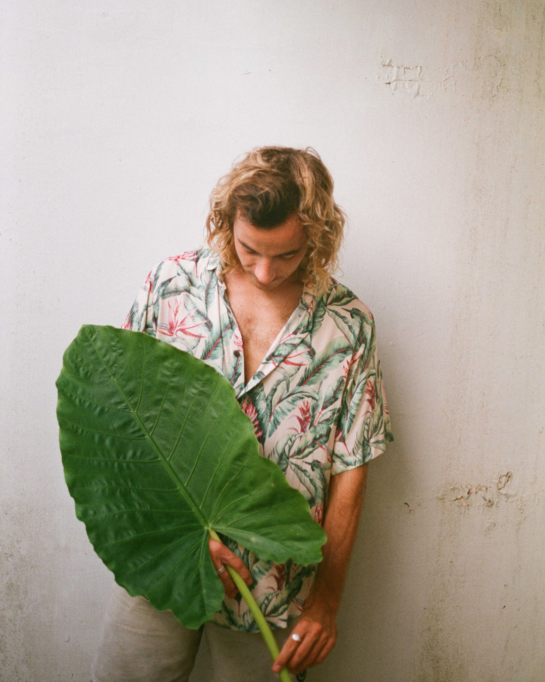 chemise jungle rouge kacang