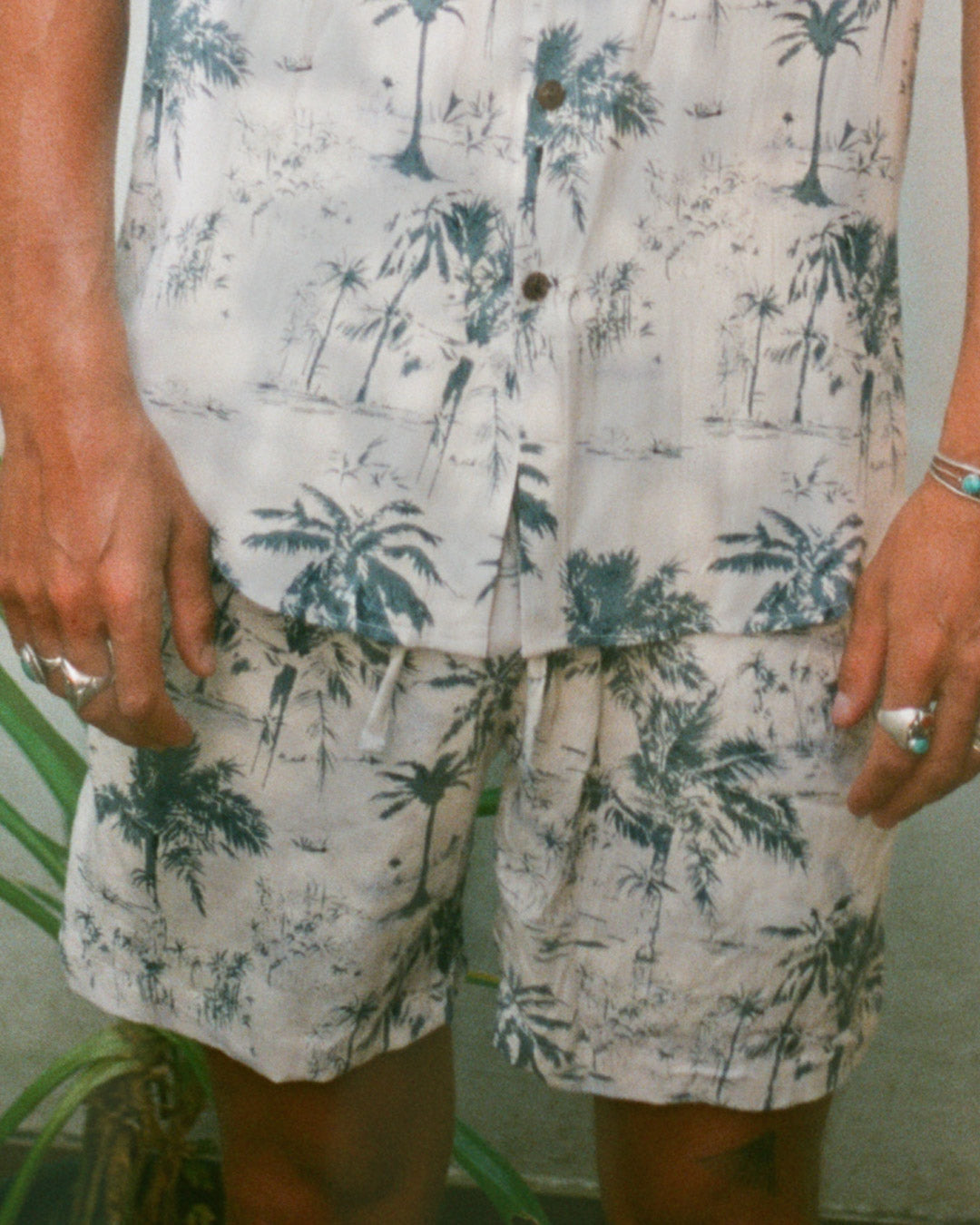short motif palmiers