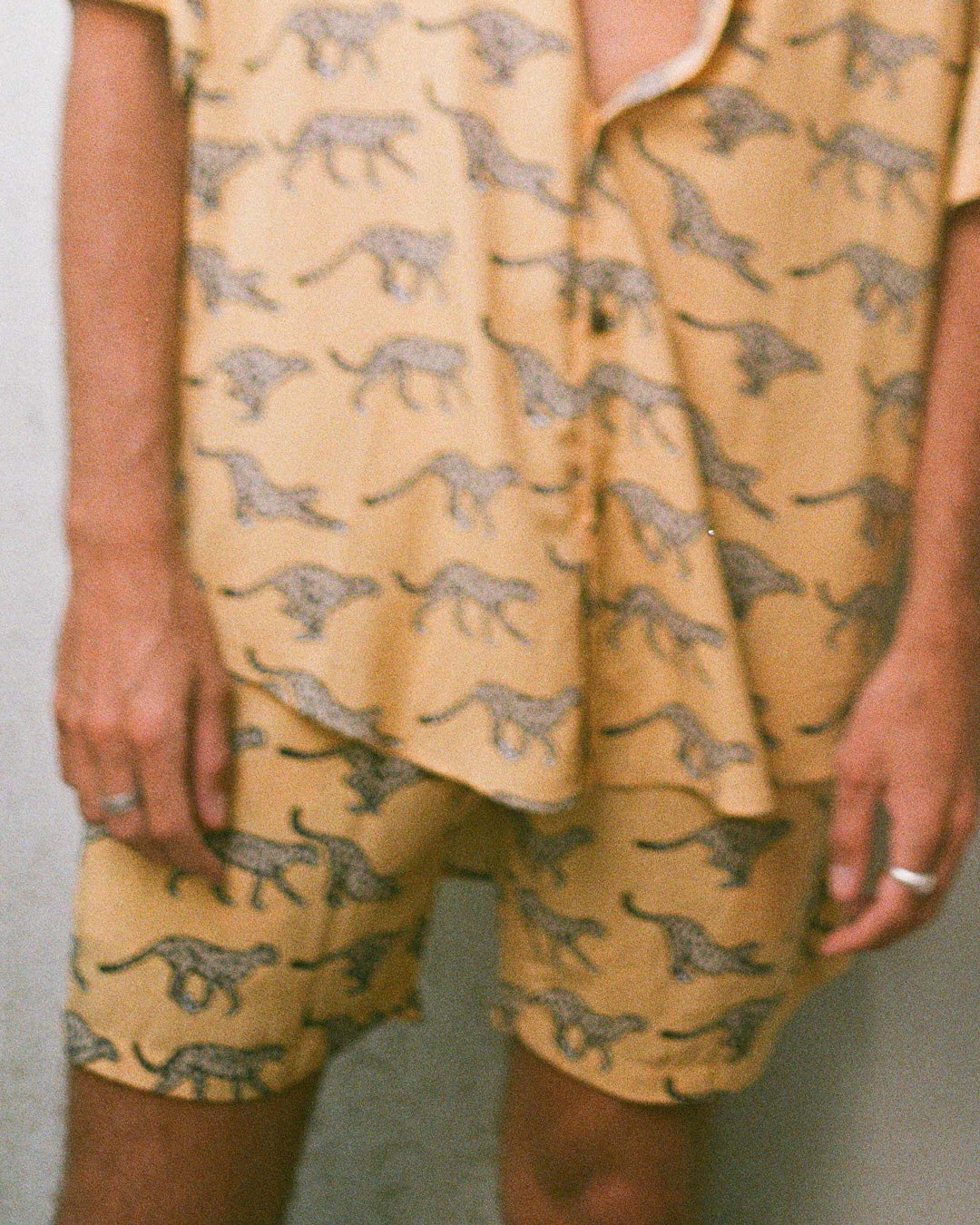 short guépards moutarde kacang