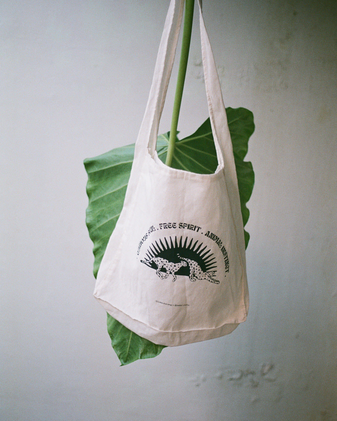 Curious Cheetahs Tote Bag x @salty.vision